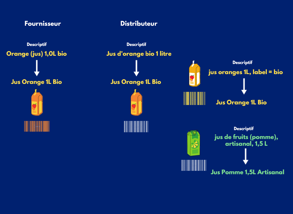 60fea72ab7861b4608eb9d87_Normalisation_donnees_produits